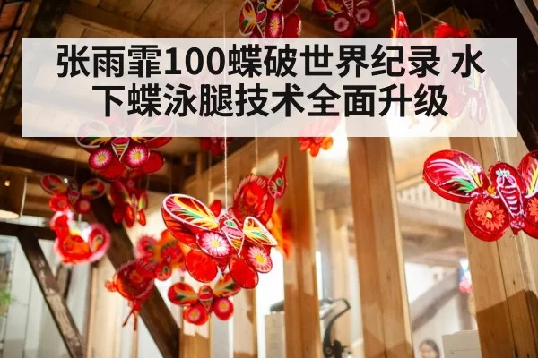 张雨霏100蝶破世界纪录 水下蝶泳腿技术全面升级